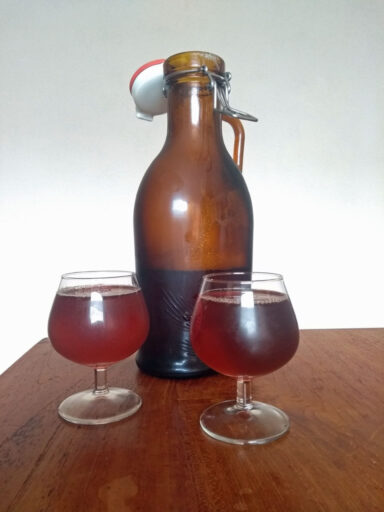 Haarlem & Nijmegen's Irish Red Ale Craft Beer